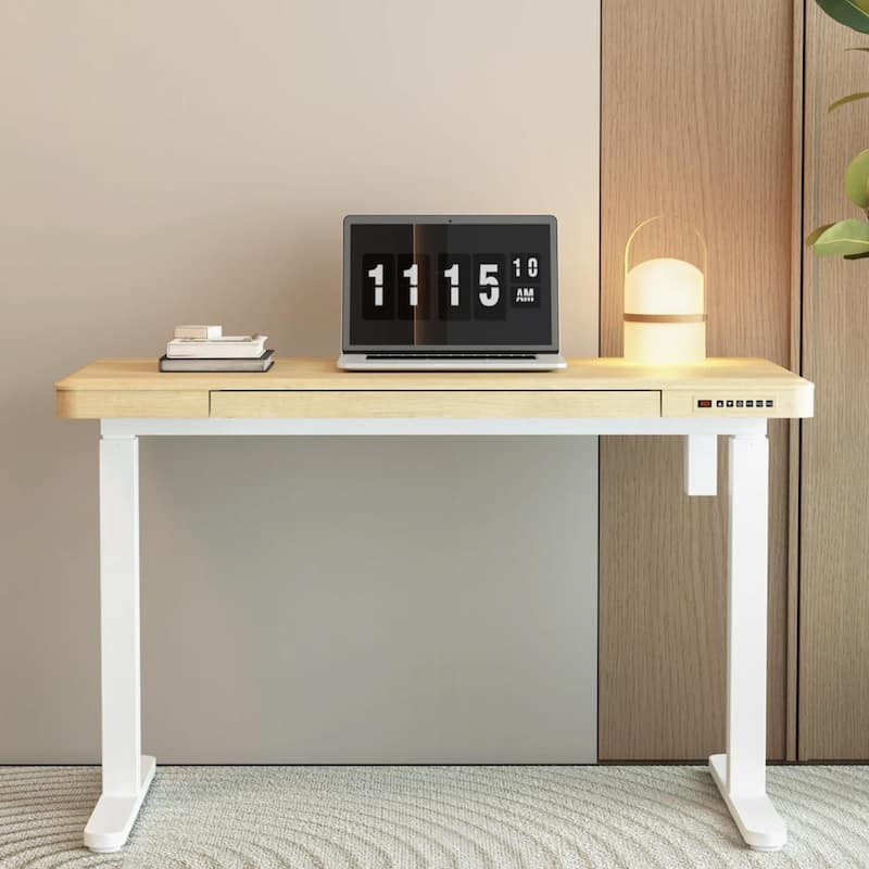 KOWO K3101 48 Inch Electric Standing Desk with Drawers Height Adjustable Sit to Stand Workstation, Motorized Home Office Desk