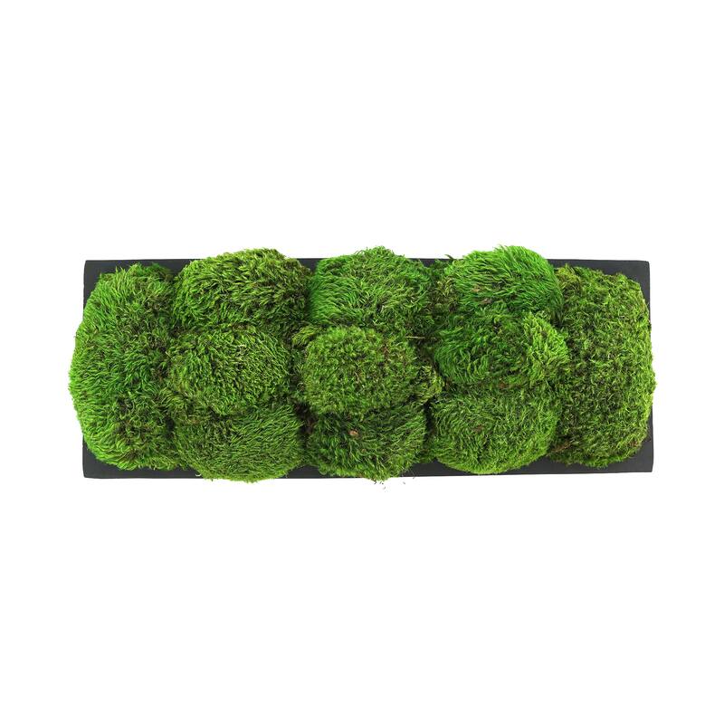 Moss Arrangement in Oblong Fiberstone Planter - Green