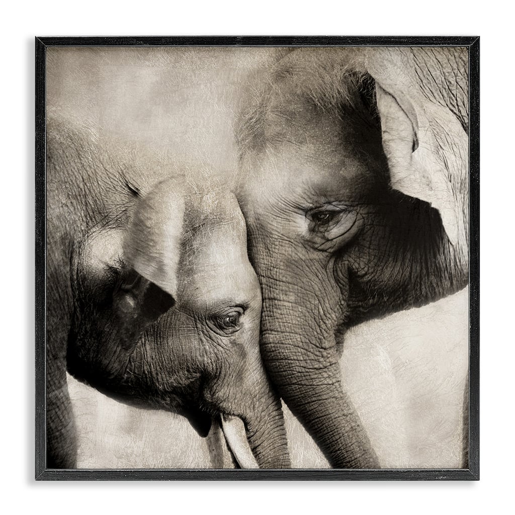 Stupell Elephant & Baby Hug Framed Giclee Art Design By CAD Designs