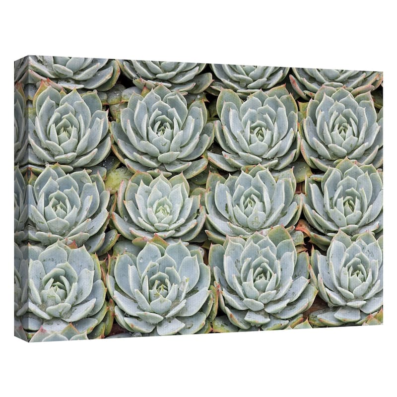 Succulent Grid by Robin Constable Hanson Canvas Art Print