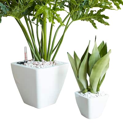 DTY Signature 2-Pack Smart Self-watering Planter Pot for Indoor and Outdoor - 10 inch Square