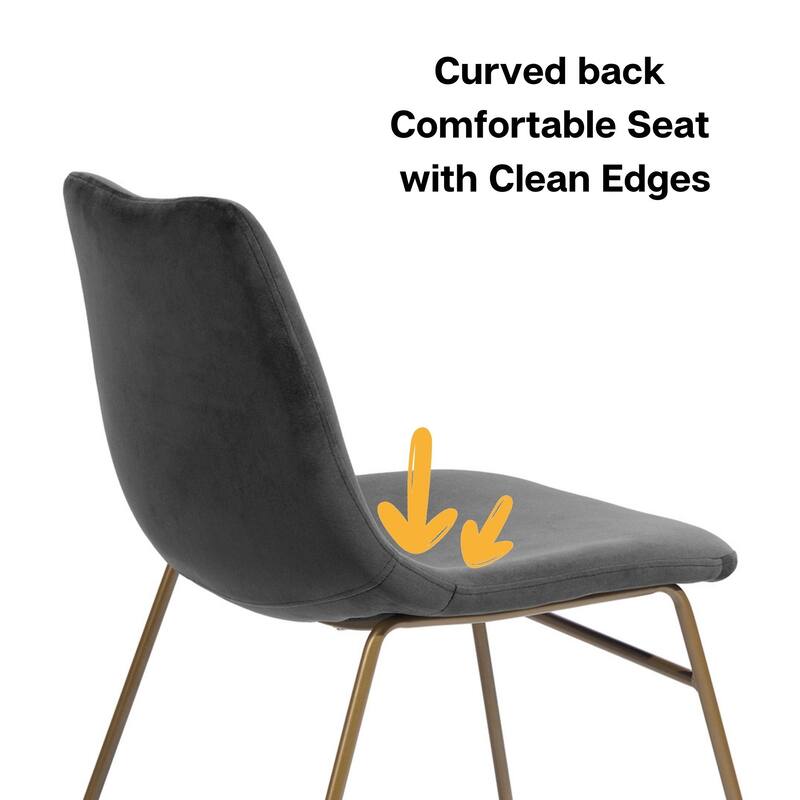 Homylin Batassel Velvet Dining Chairs, Upholstered Reception Chairs, with Metal Legs for Home Kitchen, Living Room(set of 2)