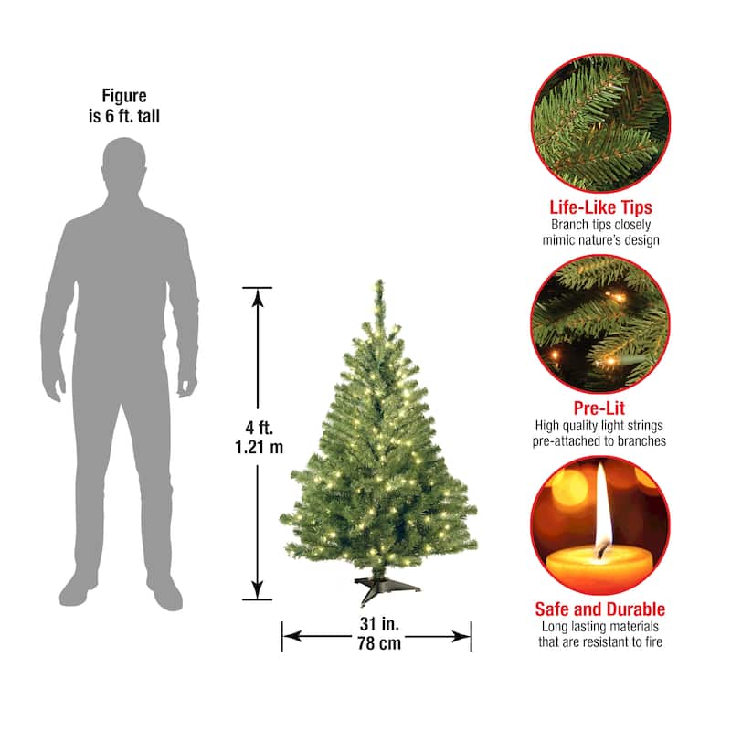 National Tree Company 4 ft. Kincaid Spruce Tree with 100 Clear Lights - 4 Foot