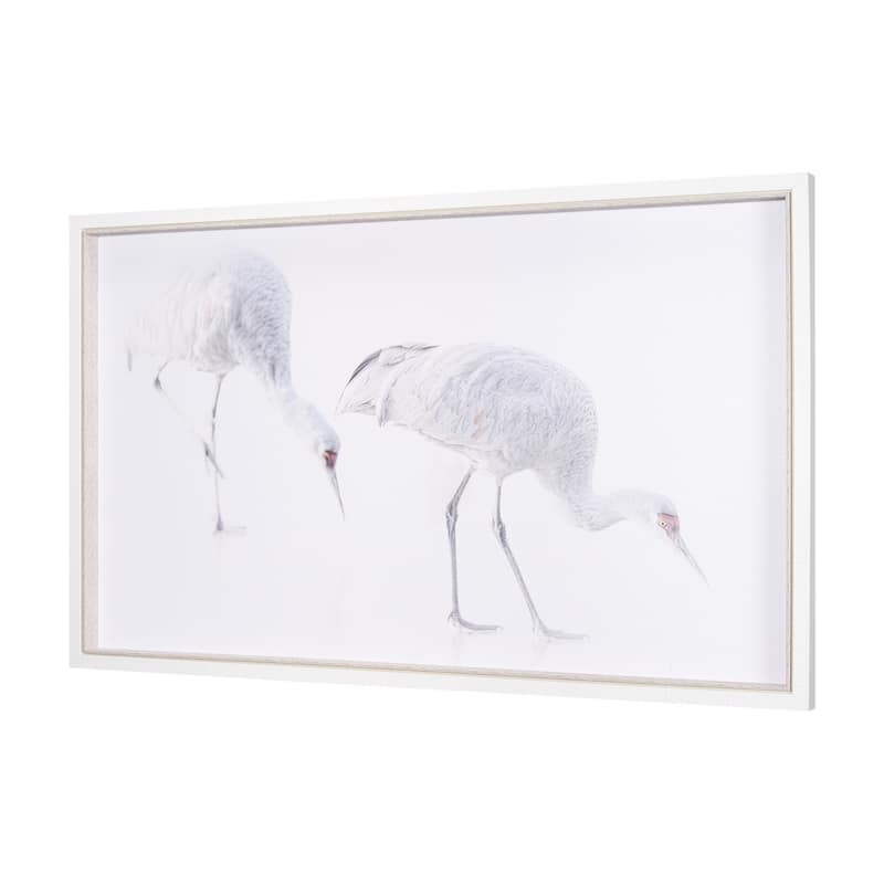 Sandhill Cranes I