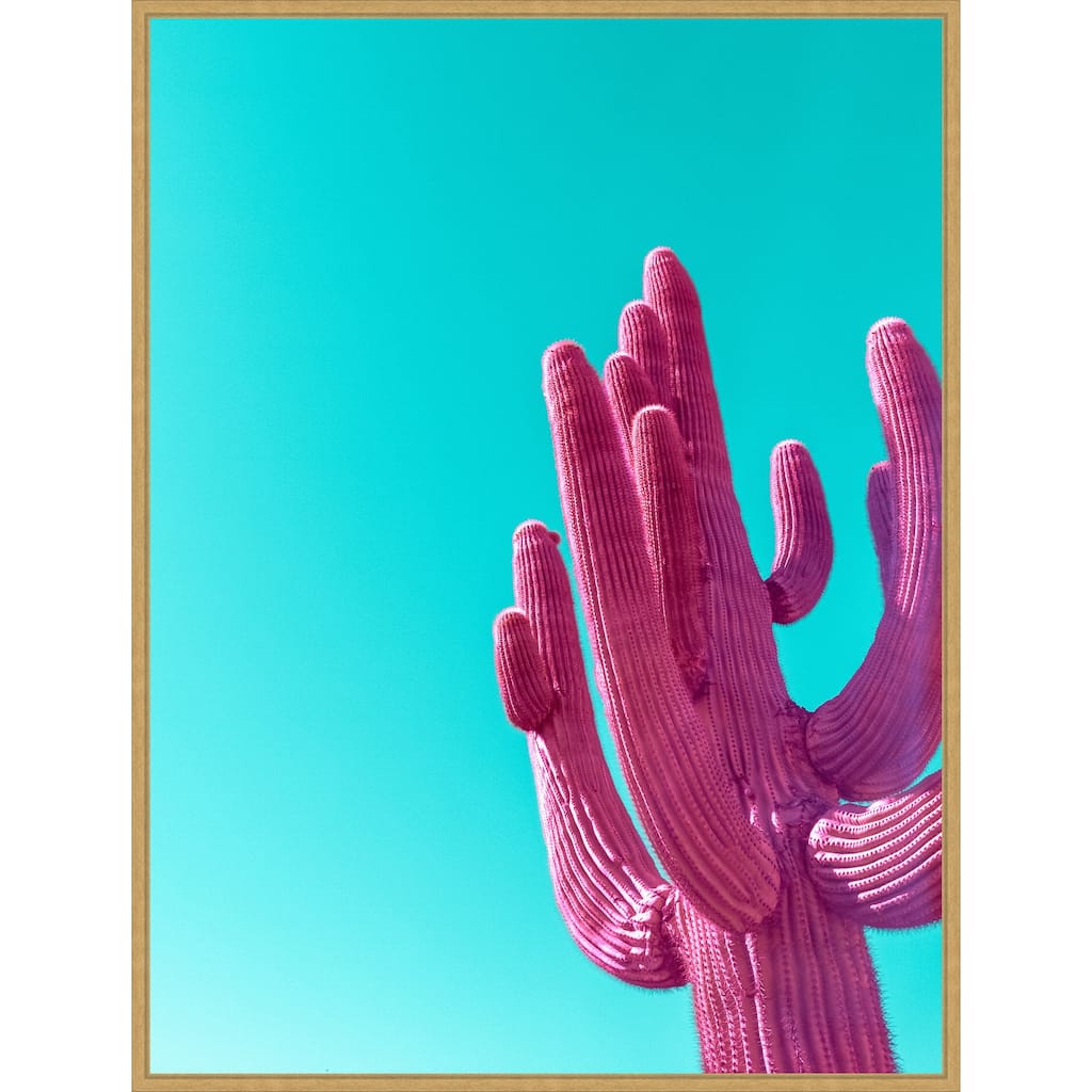 Magenta Pink Saguaro by Tom Windeknecht Framed Canvas Wall Art Print - Sylvie Bright Gold