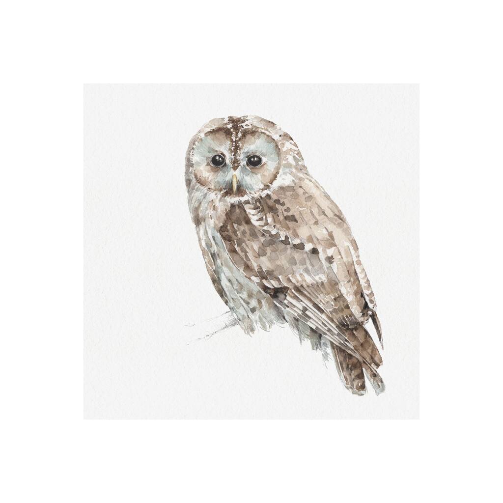 Forest Friends IX (Owl) (30 x 30) Canvas Art Print