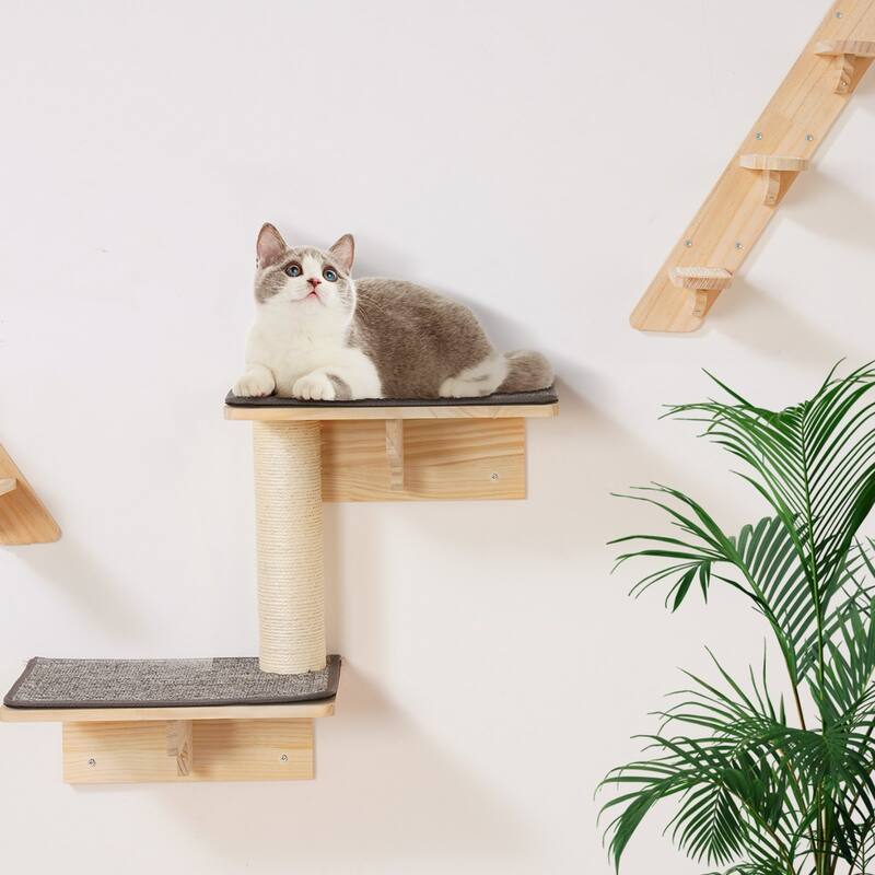 Wall-Mounted Cat Furniture Set with 2 Nests, Hammocks & Tree