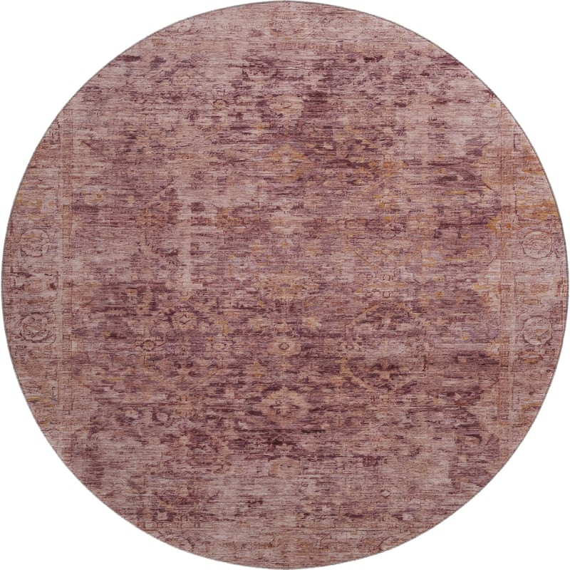 Premium Washable Super Soft Vintage Traditional Mayfield Rug