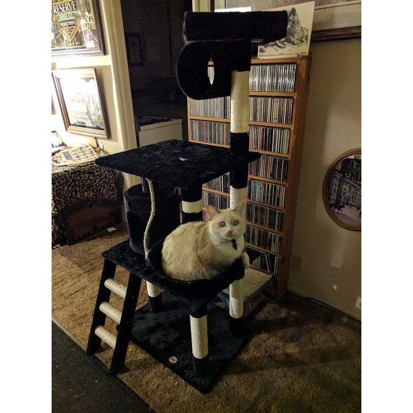 Top Product Reviews For Go Pet Club Black 62 Inch High Cat Tree
