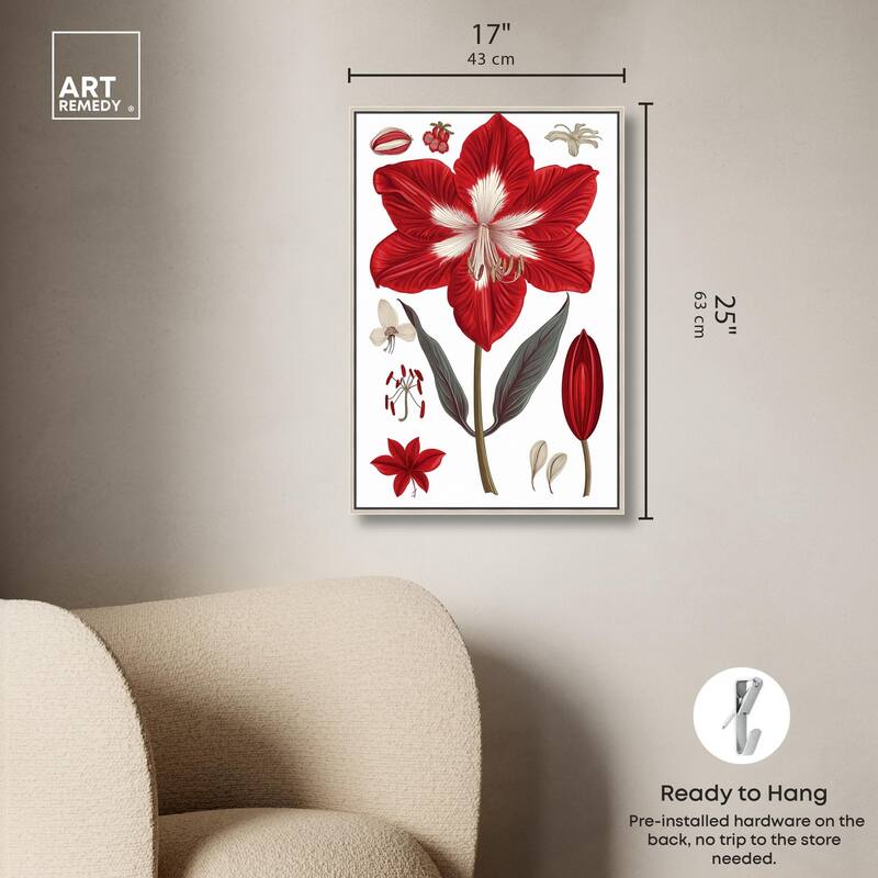 Amaryllis Anatomy Canvas by Art Remedy