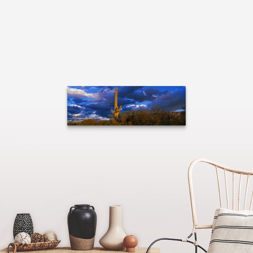 Shop Saguaro Cactus At Sunset Az Canvas Wall Art Free Shipping