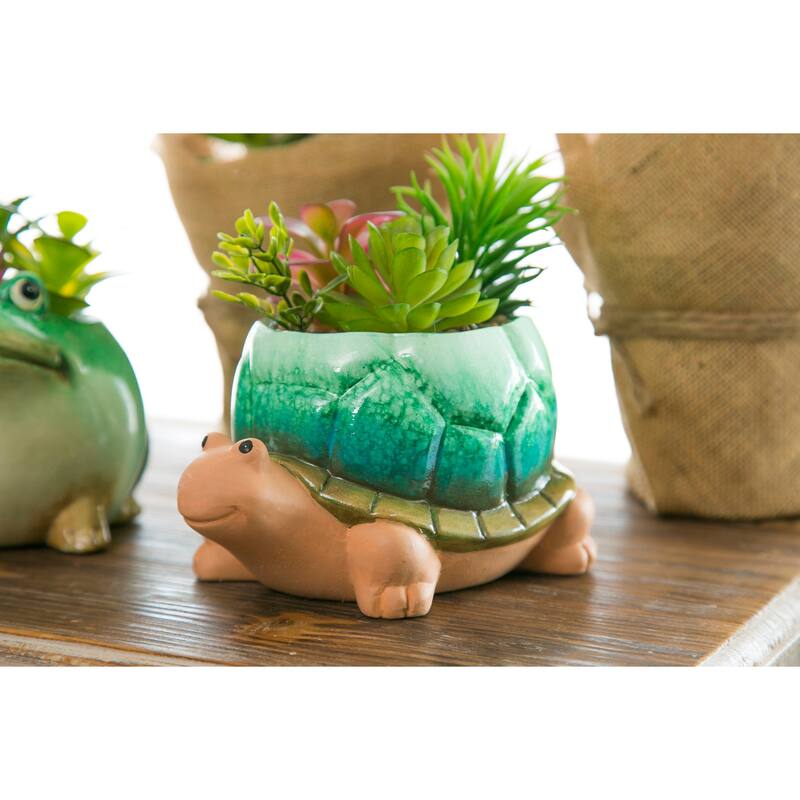 Ceramic Turtle Planter with Succulent