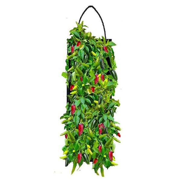 Hanging Vegetable Garden Seed Kit Roma tomato Jalapeno Sweet Pepper Cherry