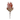 Orange Protea Flower Stem (Set of 2)