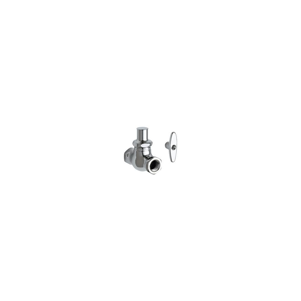 Chicago Faucets Straight Stop Fitting with Quaturn Compression