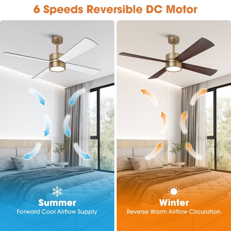 52 in. Natural Brass Plywood Indoor Downrod Mount Ceiling Fan with Integrated LED and Remote Control