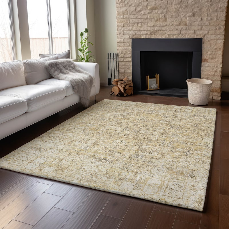 Premium Washable Super Soft Vintage Traditional Mayfield Rug