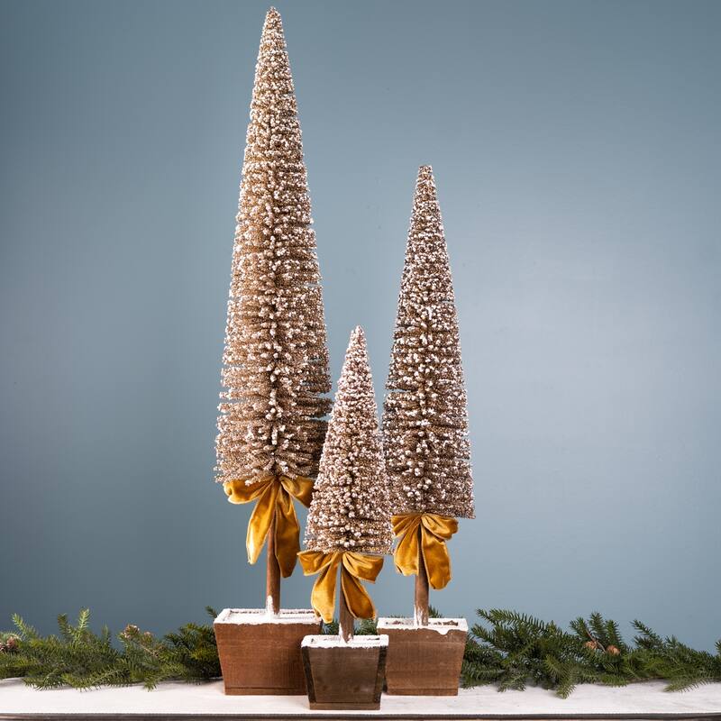 Potted Bottle Brush Pine Tree (Set of 3) - N/A
