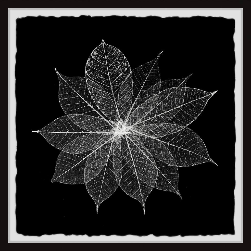 Leaf Splash Framed Wall Art, Elegant Home Touch - Sophisticated Artwork for Refined Décor