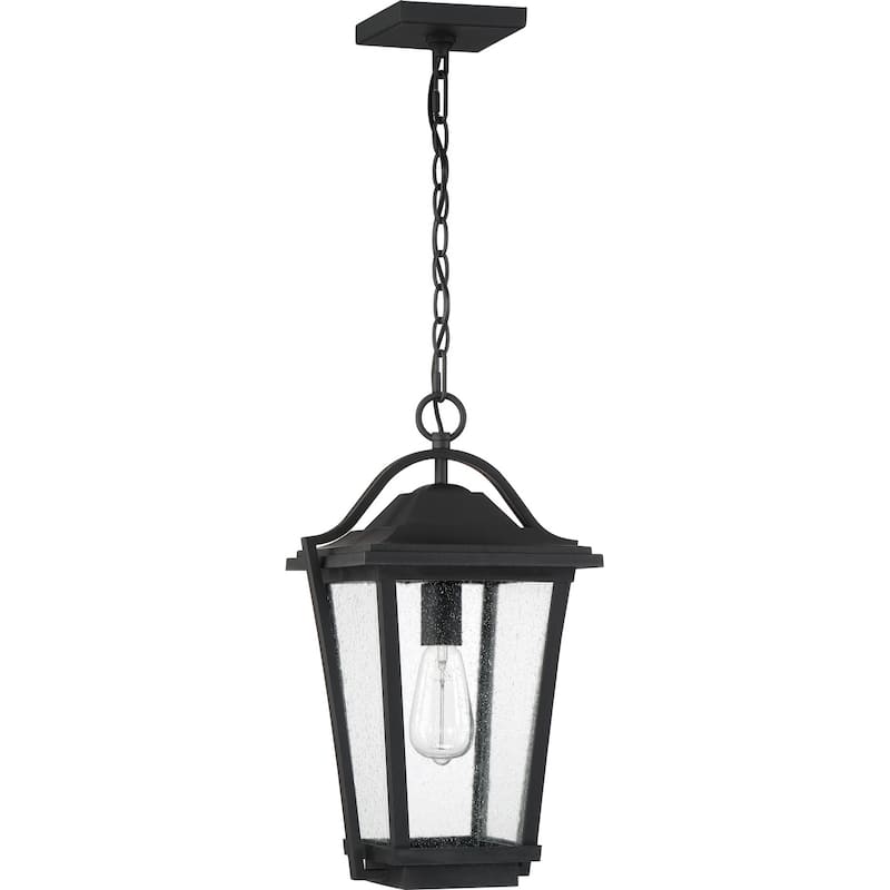 Darius 1-Light Outdoor Hanging Lantern in Earth Black - Earth Black