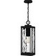 preview thumbnail 1 of 5, Balchier 1-Light Outdoor Hanging Lantern in Matte Black