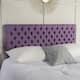 Option Purple