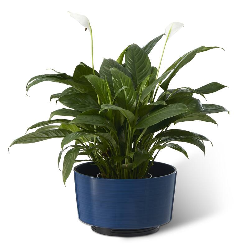 Glitzhome Set of 2 Faux Ceramic Cobalt Blue Flower Pots Urn Plastic Planter Front Porch Decor