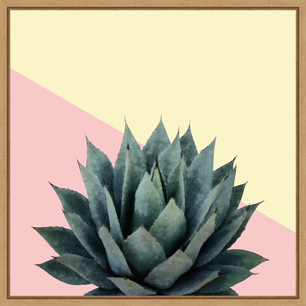 Agave 04 by Amini54 Framed Canvas Wall Art Print - Sylvie Natural