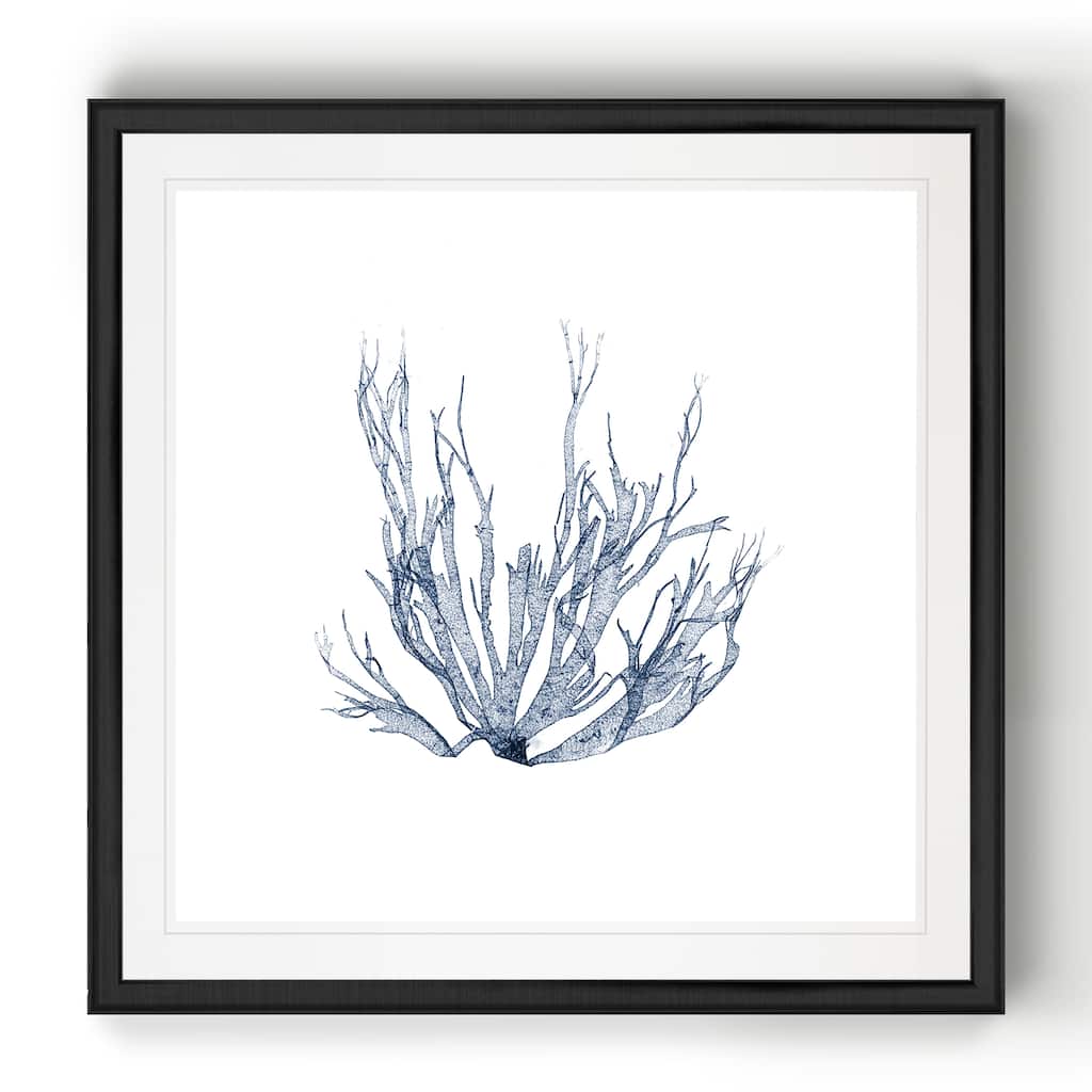 Navy Seaweed IV -Black Framed Print