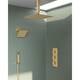 Option Brushed Gold