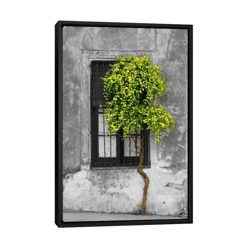 Large Wall Art, Framed Art, Modern Art, Plants, Botanical, by Panoramic Images - Black