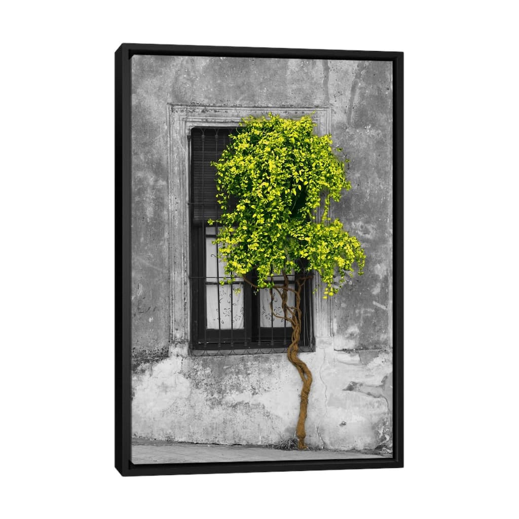 Large Wall Art, Framed Art, Modern Art, Plants, Botanical, by Panoramic Images