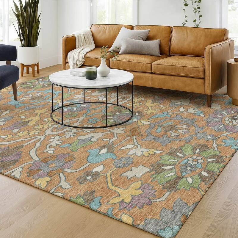 Machine Washable Indoor/ Outdoor Traditional Blanca Chantille Rug