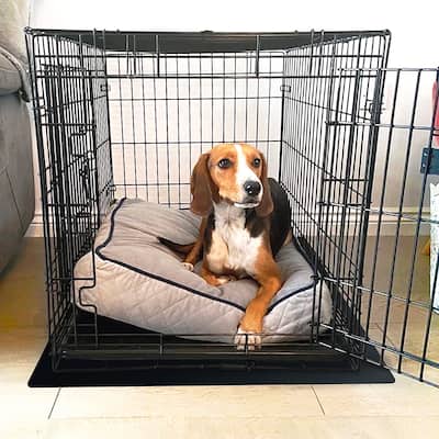 Floortex® P-Tex Polypropylene Pet Crate Floor Protection Mat - XXL - 32" x 50" - Black - 32" x 50"