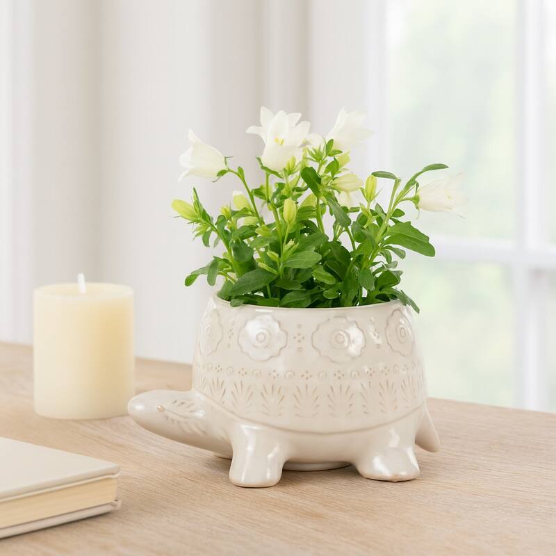 Plant Pot - White Ceramic Turtle Shaped Floral Carved, 7" - 7.0"
