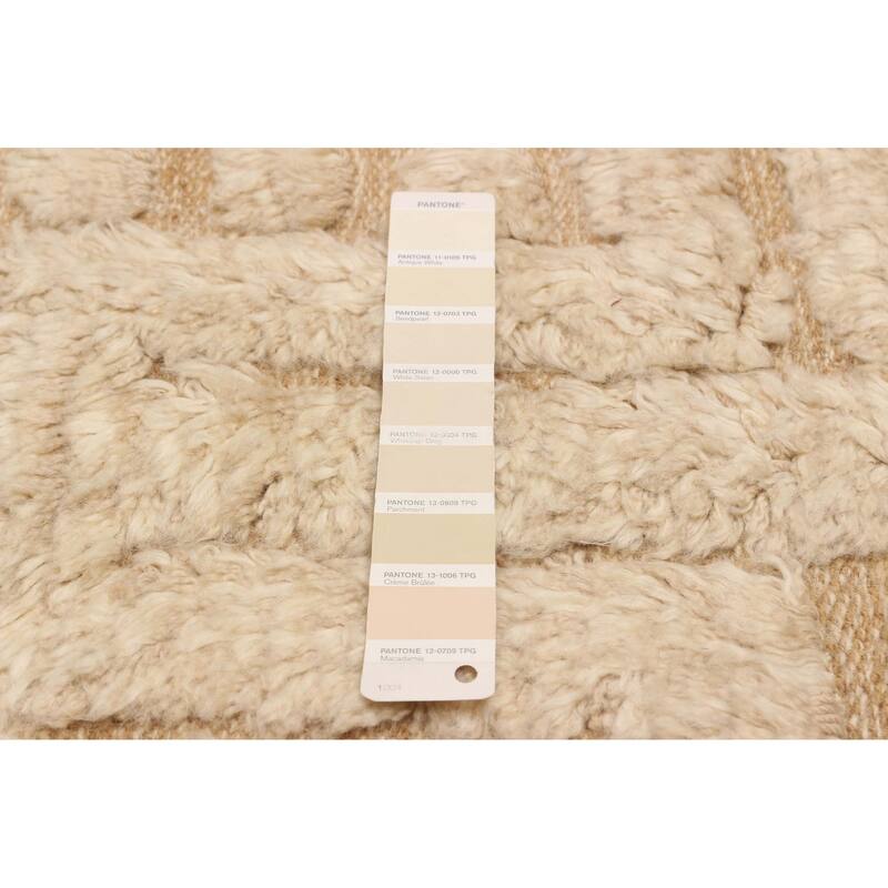 ECARPETGALLERY Hand-knotted Tangier Ivory Wool Rug - 8'2 x 10'0