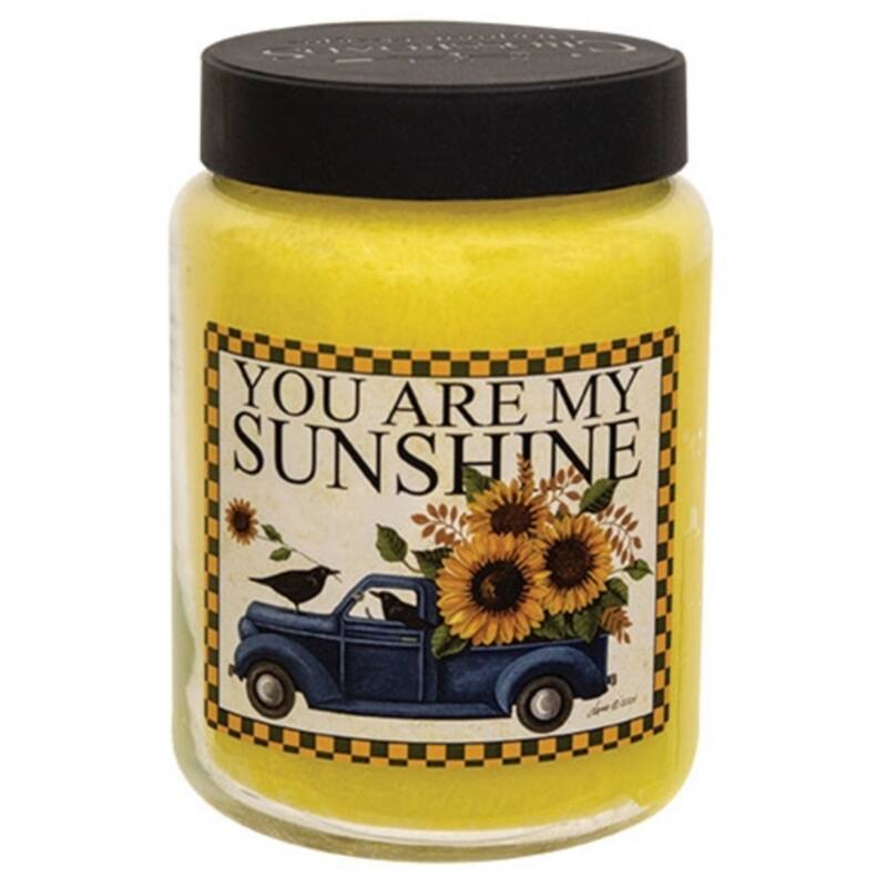 26oz Scented Jar Candle with Dual Wicks and Clean-Burning Paraffin Wax 140 Hour Burn Time - 4”L x 4”W x 5.50"H - Pineapple Paradise 