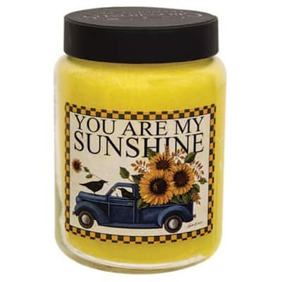 26oz Scented Jar Candle with Dual Wicks and Clean-Burning Paraffin Wax 140 Hour Burn Time - 4”L x 4”W x 5.50"H