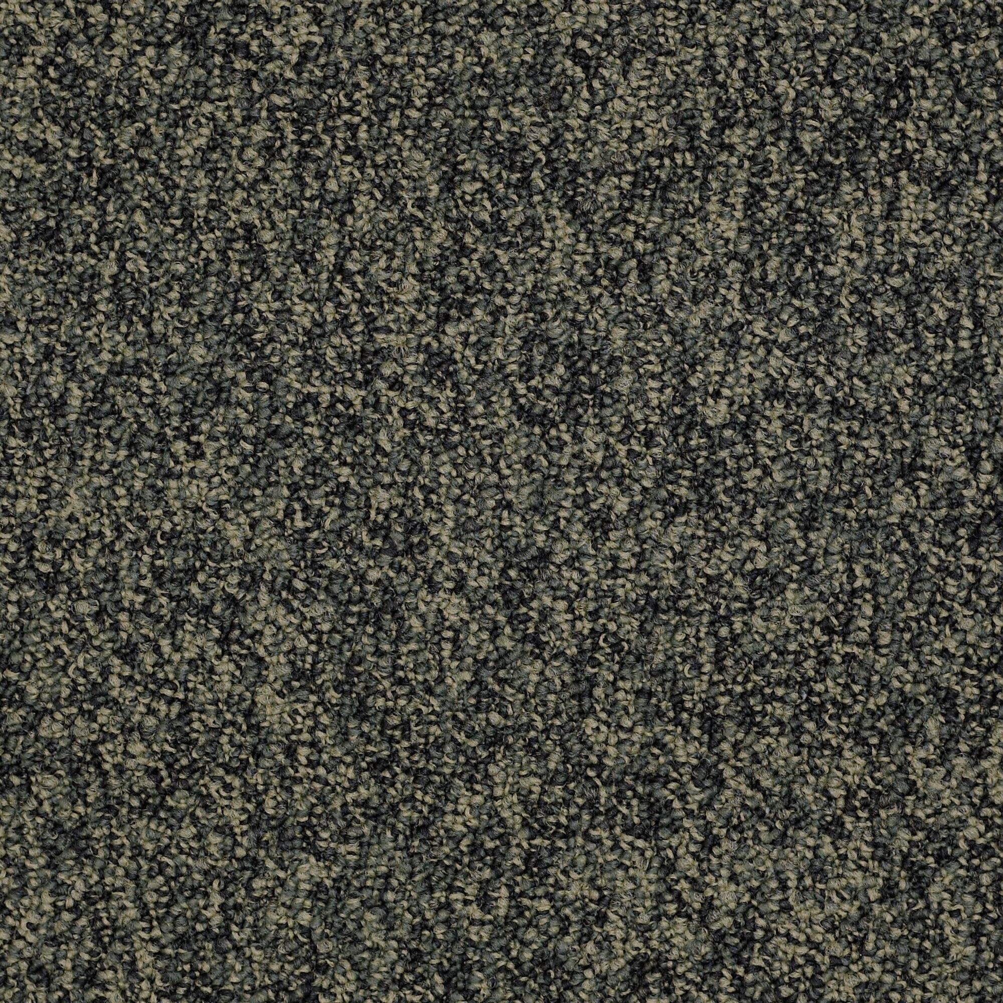 Shaw Philadelphia Commercial No Limits Tile 24" x 24" Glue Down Carpet