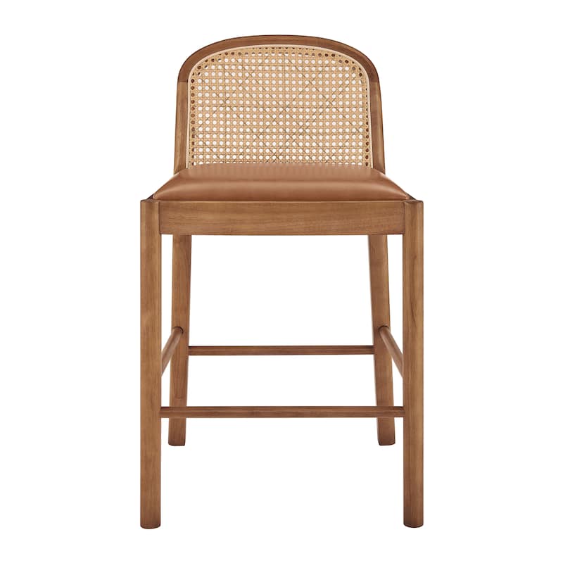 NPD Furniture Donna Faux Leather Rattan Counter Stool (Set of 2)