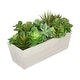 preview thumbnail 12 of 10, Faux Succulent Garden in Wood Washed Ledge Planter