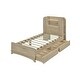 preview thumbnail 9 of 28, Twin Size Platform Bed Frame with LED Headboard, 2 Drawers, and 6 Storage Shelves, Solid & Silent Construction, Oak Finish