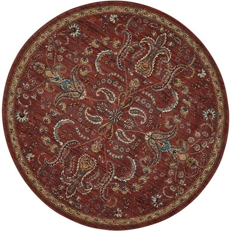 Nourison 2020 Traditional Floral Medallion Persian Pattern Area Rug