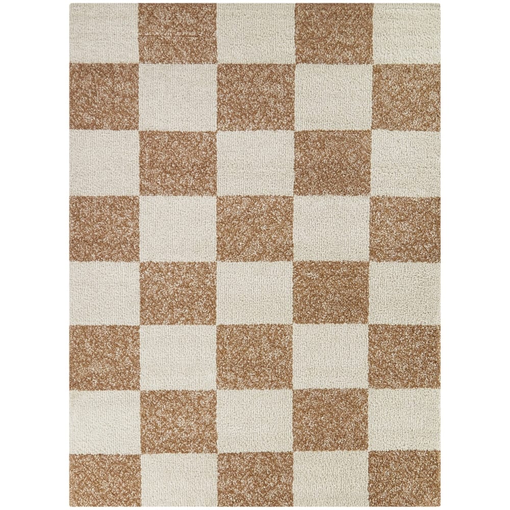 Reinhart Checkered Area Rug