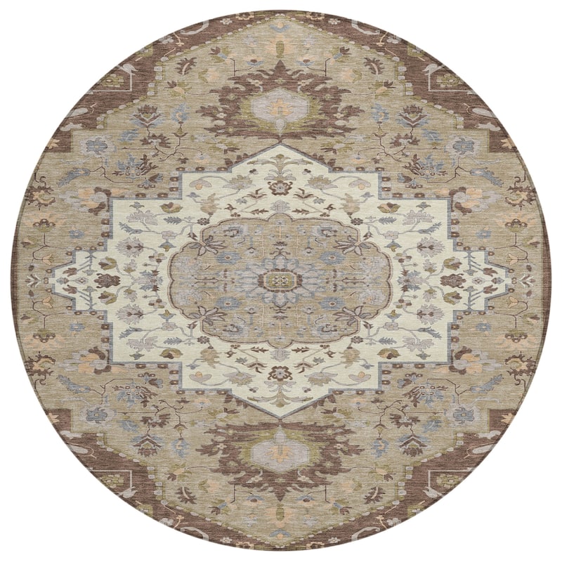 Machine Washable Indoor/ Outdoor Traditional Medallion Chantille Rug
