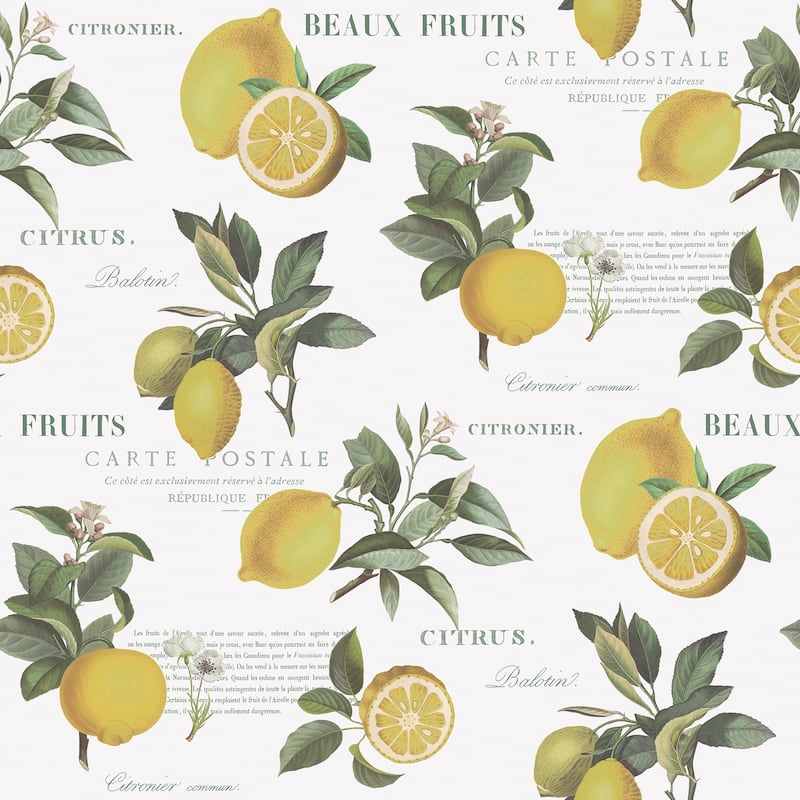 Galerie Wallcoverings Just Kitchens Citron Botanical Vinyl on Non-woven Matte Wallpaper Roll - 33 feet x 21 inches - White