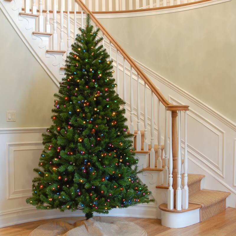 National Tree Company 7.5 ft. North Valley Spruce Hinged Tree with 550 Multi Lights-UL - 7.5 Foot - 7.5 Foot - Green