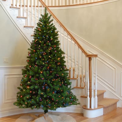 National Tree Company 7.5 ft. North Valley Spruce Hinged Tree with 550 Multi Lights-UL - 7.5 Foot