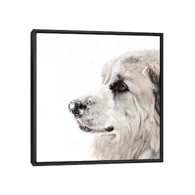 iCanvas "Great Pyrenees" by Vicki Newton Framed