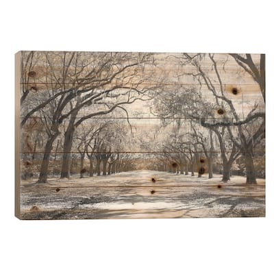 Live Oaks And Spanish Moss Wormsloe State Historic Site Savannah, Georgia (Black And White) I Print On Wood by Panoramic Images